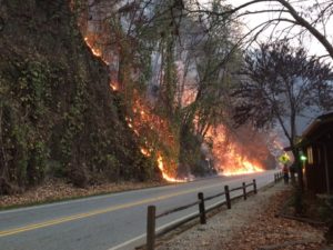 nc-wildfires-1