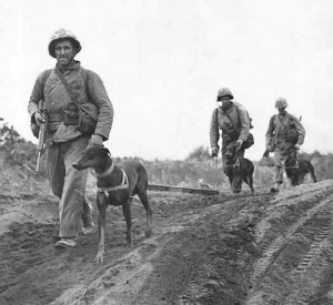 Marines Iwo Jima